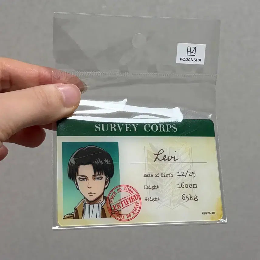 [BUNJANG] Attack on Titan Survey Corps Acrylic ID Card Set / 진격의 거인 조사병단 굿즈 아크릴 ID 카드 정품 새상품