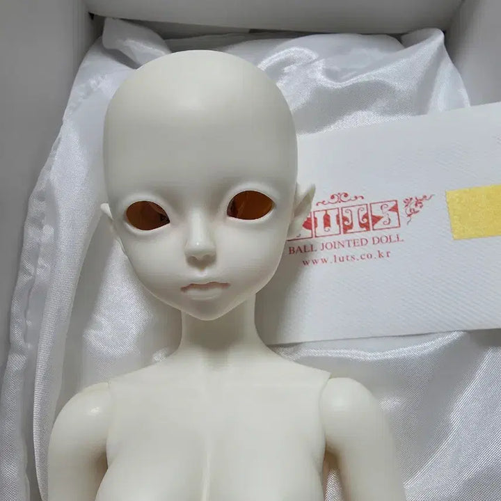 [BUNJANG] LUTS Kid Delf Roa MSD Ball-Jointed Doll Body &amp; Head (White Skin) / 구체관절인형 msd 루츠돌 키드델프 로에 본체
