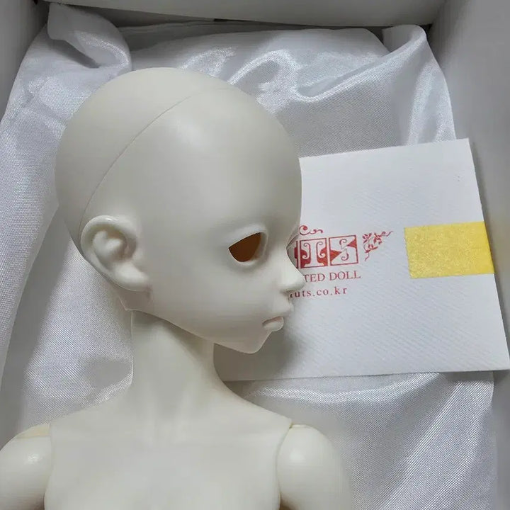 [BUNJANG] LUTS Kid Delf Roa MSD Ball-Jointed Doll Body &amp; Head (White Skin) / 구체관절인형 msd 루츠돌 키드델프 로에 본체