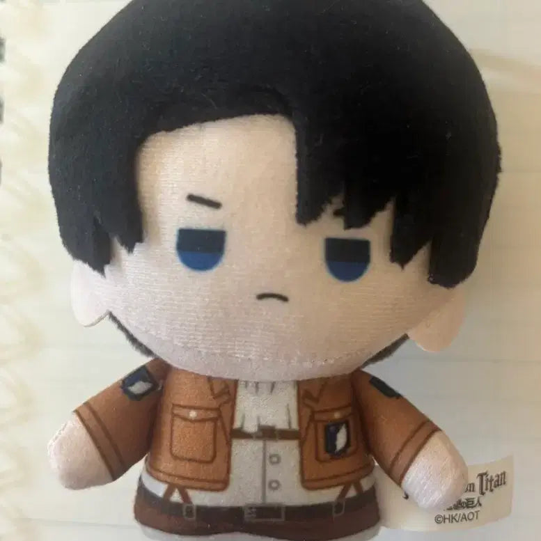 [BUNJANG] Attack on Titan Levi Ackerman Soldier Plush / 진격의 거인 리바이 병장 인형