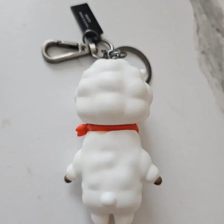 [BUNJANG] BTS BT21 RJ Acrylic Keychain (Unused) / (미사용 새상품)BTS방탄 BT21 RJ 키링