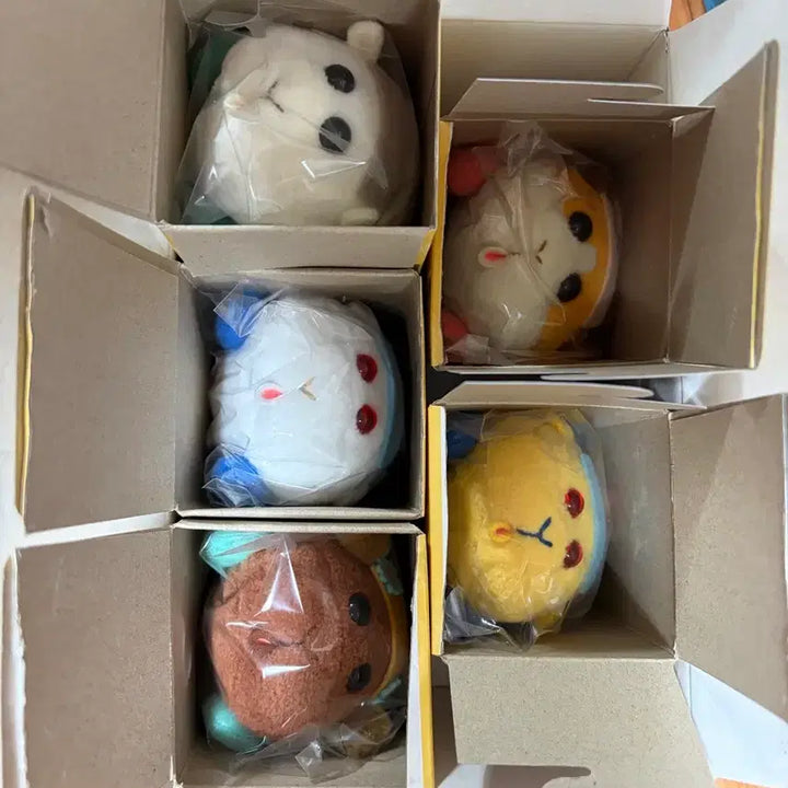 [BUNJANG] Moruca Doll 5 Types Bundle Set / 단순개봉 ) 모루카 인형 5종 일괄