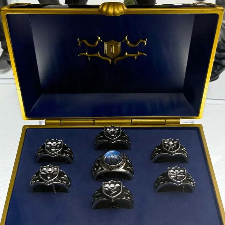 [BUNJANG] Reborn! Ring Case + Ring Full Set (Unsealed) / 가정교사히트맨리본 링 케이스+반지 풀셋(개봉품)