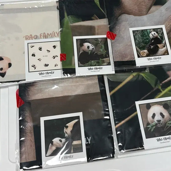 [BUNJANG] Everland Bao Family Handkerchief Bundle Set / 에버랜드 바오패밀리 손수건 드볼 일괄판매