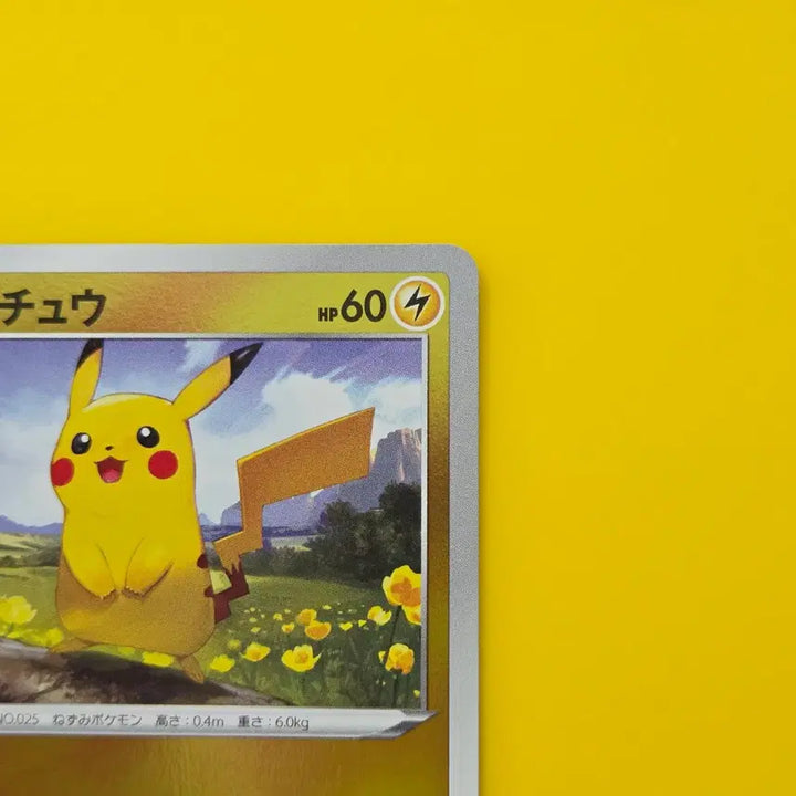 [BUNJANG] Pokémon Card Game Starter Deck 100 Pikachu Mirror Japanese Edition / 포켓몬카드 스타트덱100 피카츄 미러 일본판