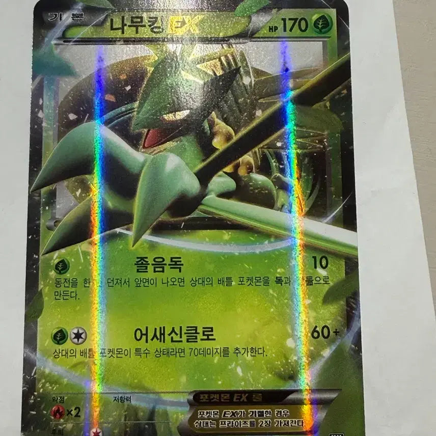 [BUNJANG] Pokemon Card XY Trevenant ex / 포켓몬 카드 XY 나무킹 ex