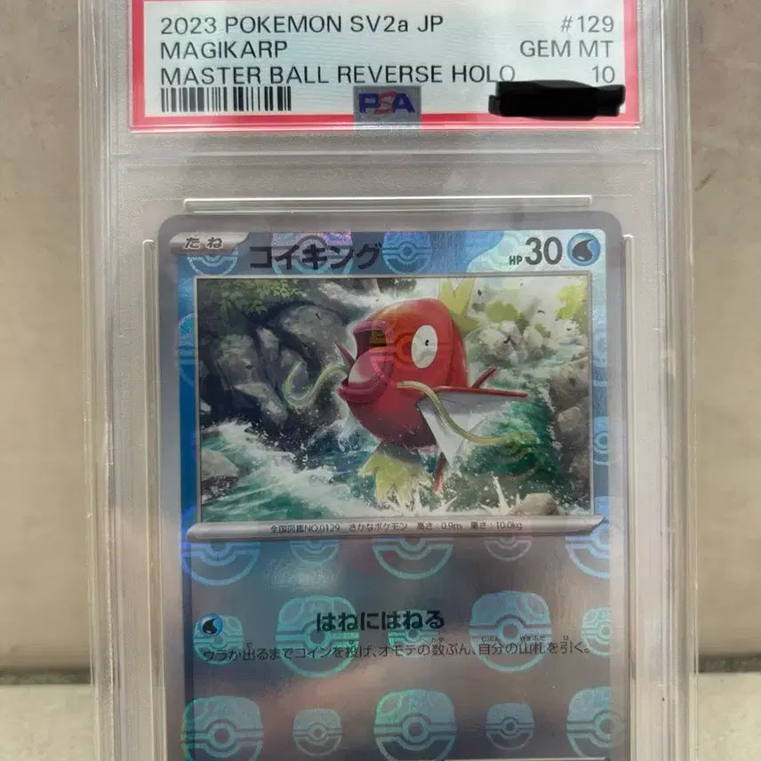 [BUNJANG] 2023 Pokemon Card Magikarp Master Ball Reverse Holo PSA 10 / 2023 포켓몬 카드 잉어킹 마스터볼 리버스홀로 PSA10