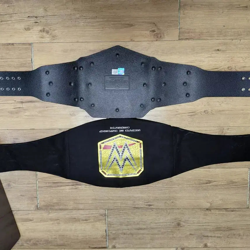[BUNJANG] WWE Championship Acrylic Belt / WWE 챔피언쉽 아크릴벨트