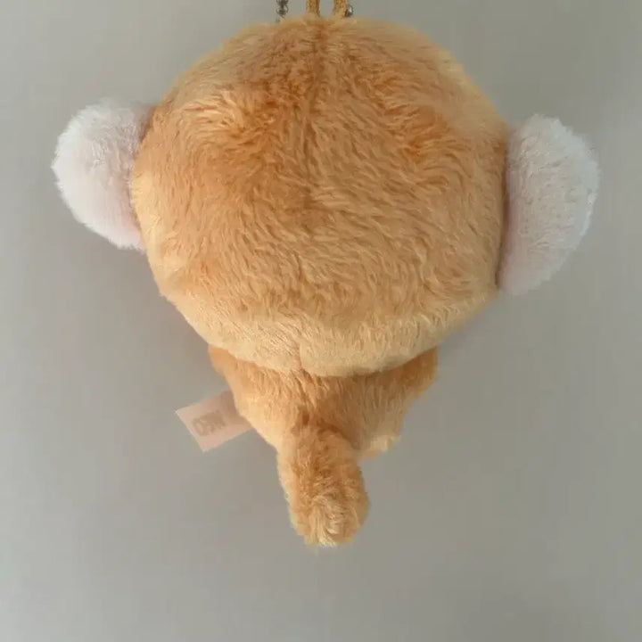 [BUNJANG] ALPHADRIVEONE Kim Gunwoo Doll Kim Gun-woo / 알디원 알파드라이브원 김건우 인형 김건숭 양도