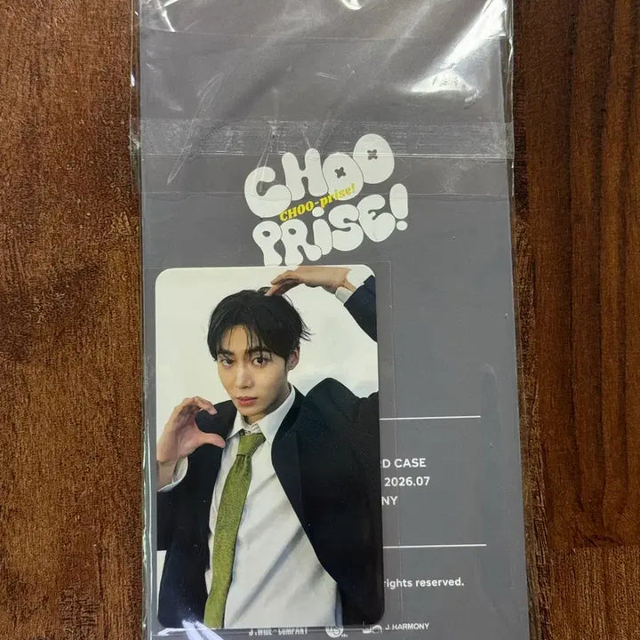 [BUNJANG] Choo Young-woo Photocard Holder / [추영우] 포카 홀더