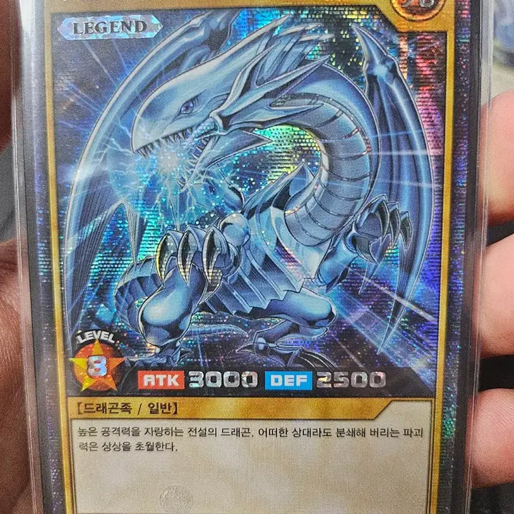 [BUNJANG] Yu-Gi-Oh! Rush Duel Blue-Eyes White Dragon Cards Bundle Set / 유희왕 러쉬듀얼 백룡 2장 일괄 판매합니다