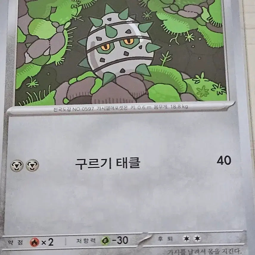 [BUNJANG] Pokemon Card Cheshshhid / 포켓몬카드 철시드