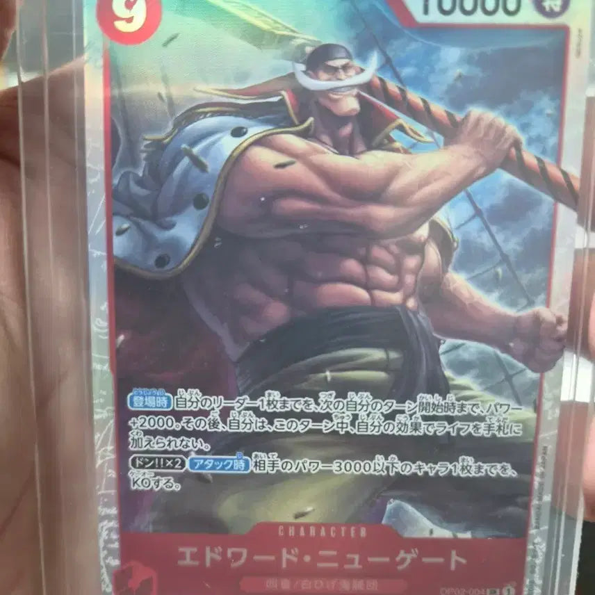 [BUNJANG] One Piece Card Newgate SR (Japanese) / 원피스카드 뉴게이트sr(일판)