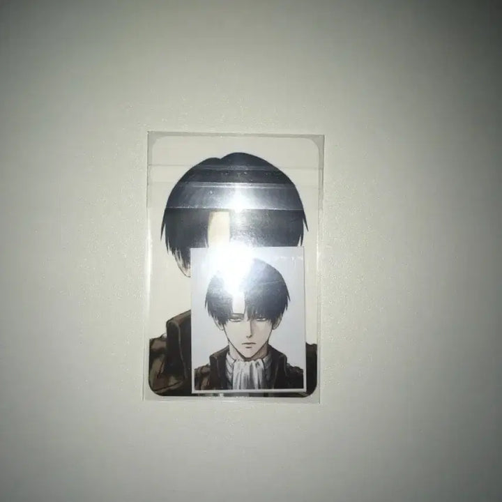 [BUNJANG] Attack on Titan Levi Photocard &amp; Sticker Bundle / sso님 진격의거인 진격거 리바이 포카 진격거 스티커 사야님 젯젯님