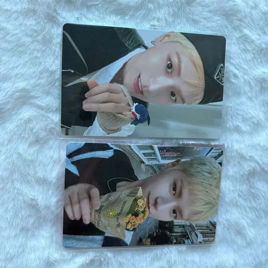 [BUNJANG] BOYNEXTDOOR HOW Riwoo Photocard Set / 보넥도 HOW 리우 포카 세트