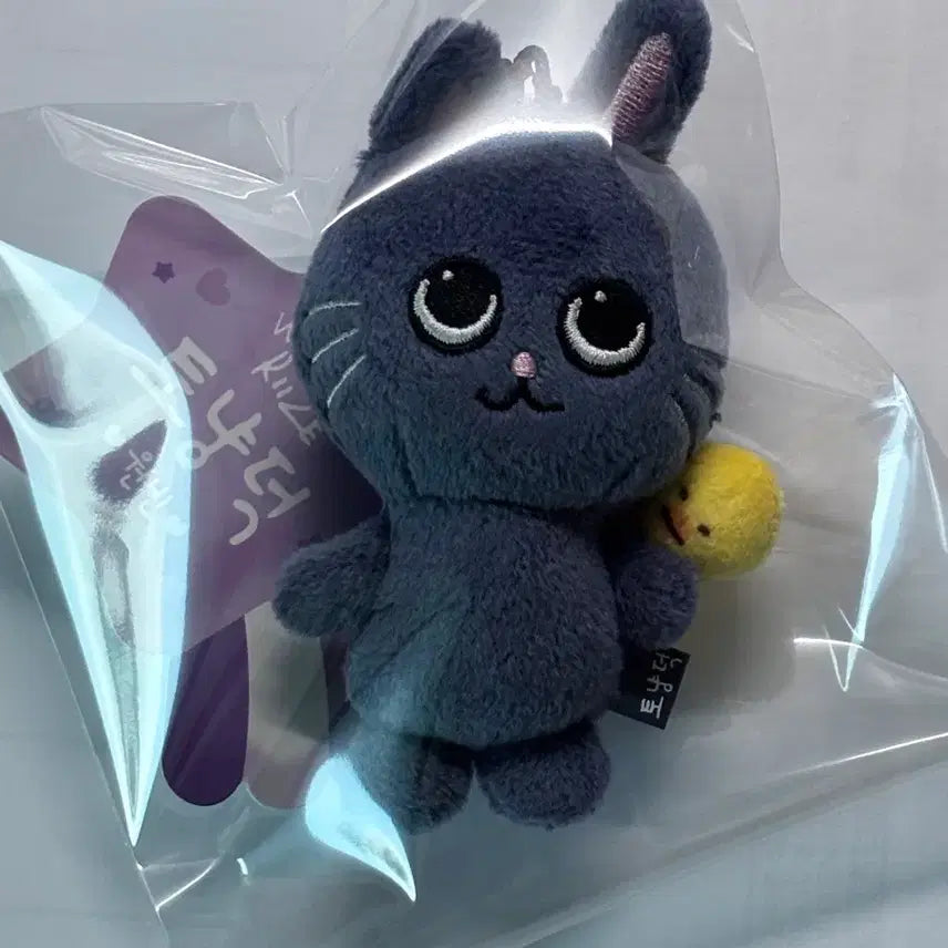 [BUNJANG] RIIZE Toyangdeok Baby RIIZE Keyring Doll (Sealed) / 라이즈 토냥덕 베이비 리라즈 키링 인형 미개봉 양도