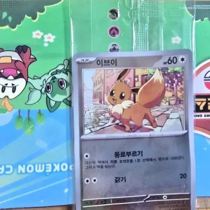 [BUNJANG] Pokemon Eevee Promo Card Set with Card Album and 45 Cards / 포켓몬 이브이 프로모 카드 + 카드 앨범 + 카드 45장