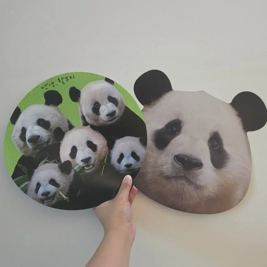 [BUNJANG] Annyeonghalbeoji Fu Bao Fan Bundle Set / 안녕할부지 푸바오 부채(일괄)