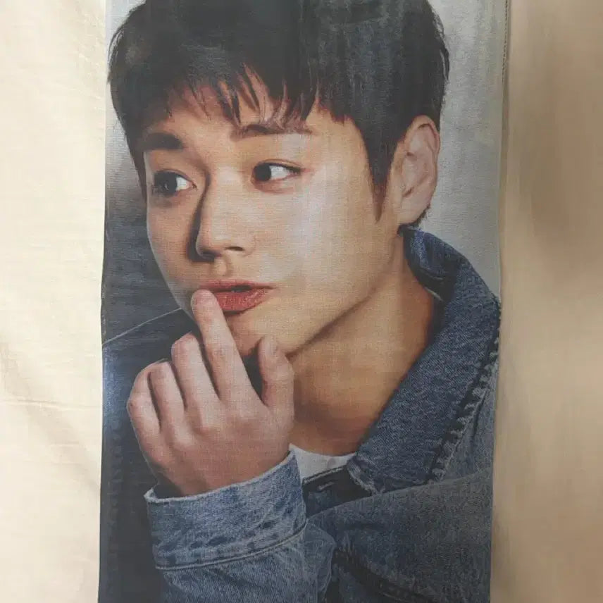 [BUNJANG] Giyeong Char-Broiled Chicken Park Jihoon Fabric Poster / 기영이 숯불 치킨 박지훈 패브릭 포스터 청청