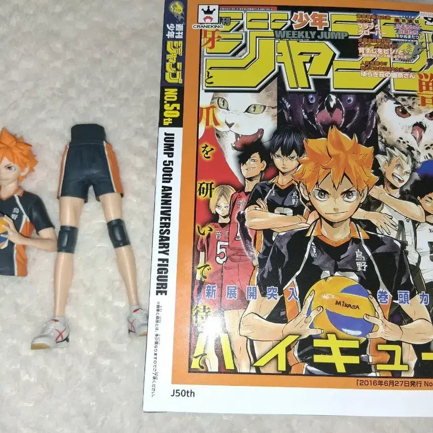 [BUNJANG] Jump 50th Anniversary Hinata Shoyo Figure / 점프 50주년 기념 히나타 피규어(급처)