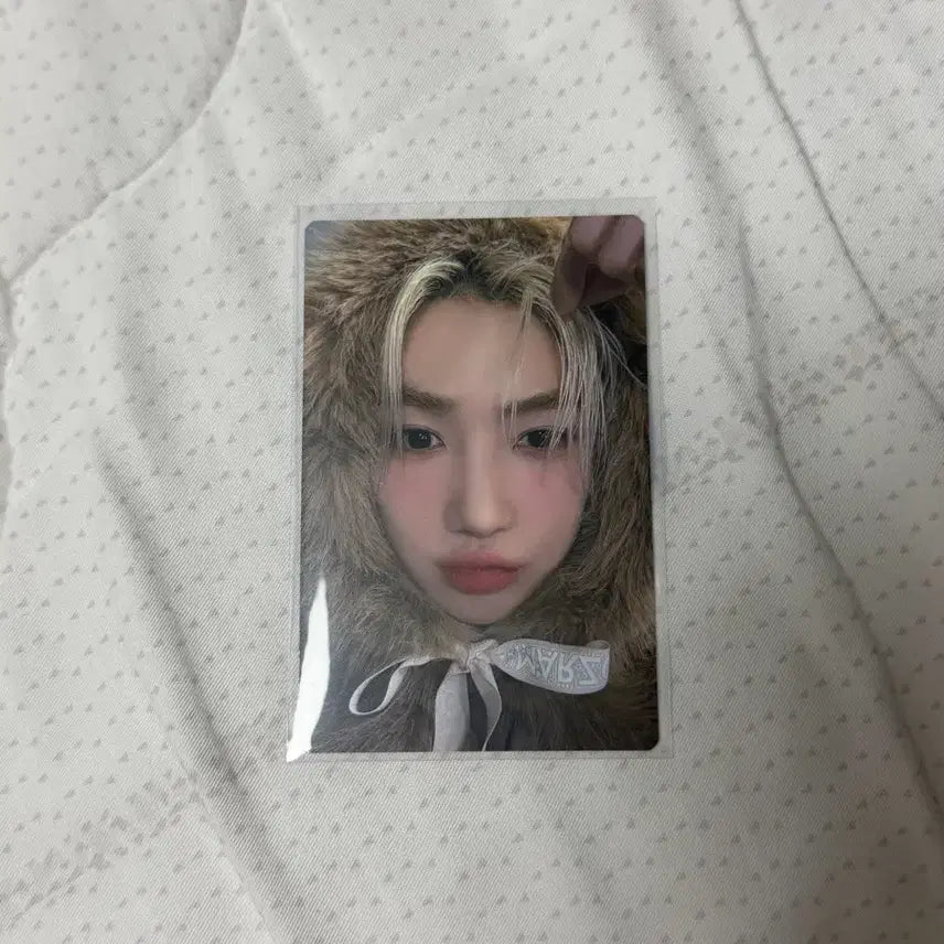 [BUNJANG] THE BOYZ New Dreamland Photocard / 더보이즈 뉴 더비랜드 트레카