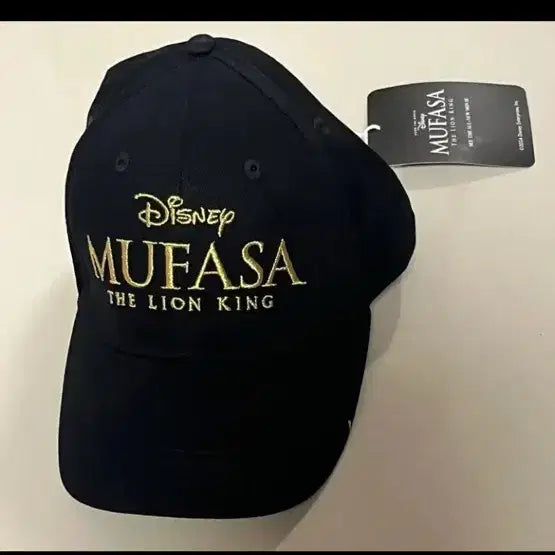 [BUNJANG] Disney Moana Mufasa Warner Bros. Flash Official Hat / 디즈니 모아나 무파사 워너브라더스 플래시 공식 모자 굿즈 판매합니다