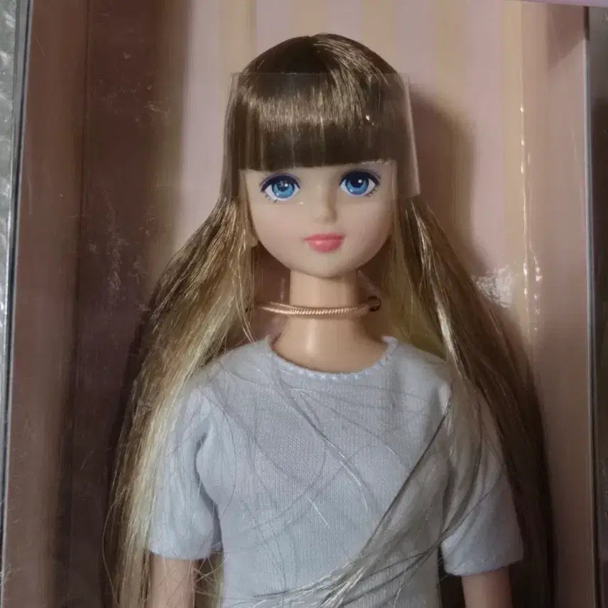 [BUNJANG] Ricacastle Jenny Friend Zion Doll / 리카캐슬 제니 프렌드 시온