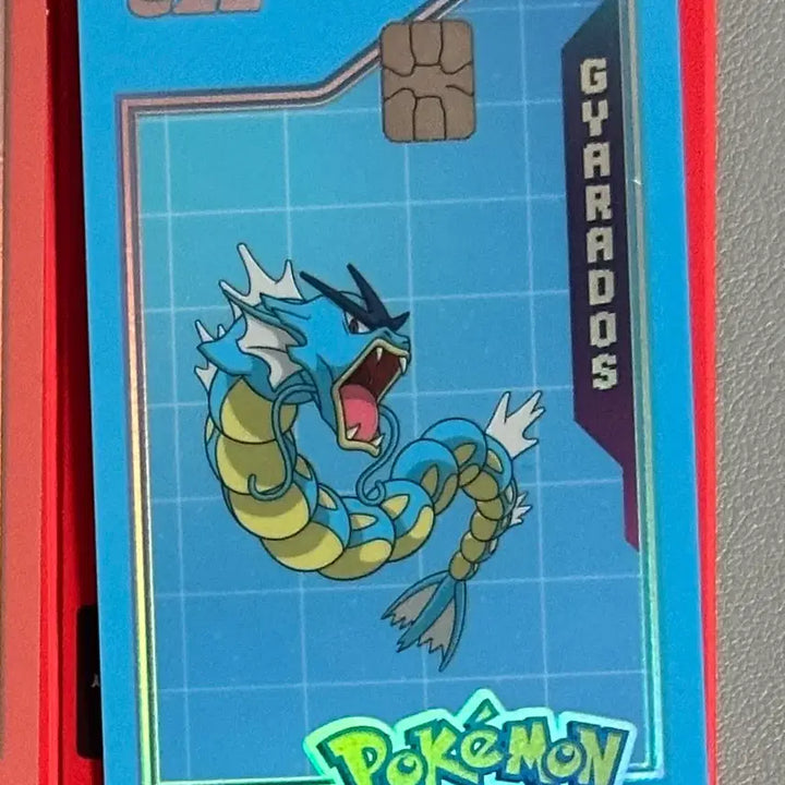 [BUNJANG] Pokemon Card Bundle Set / 포켓몬카드 최저가!! 6개 일괄
