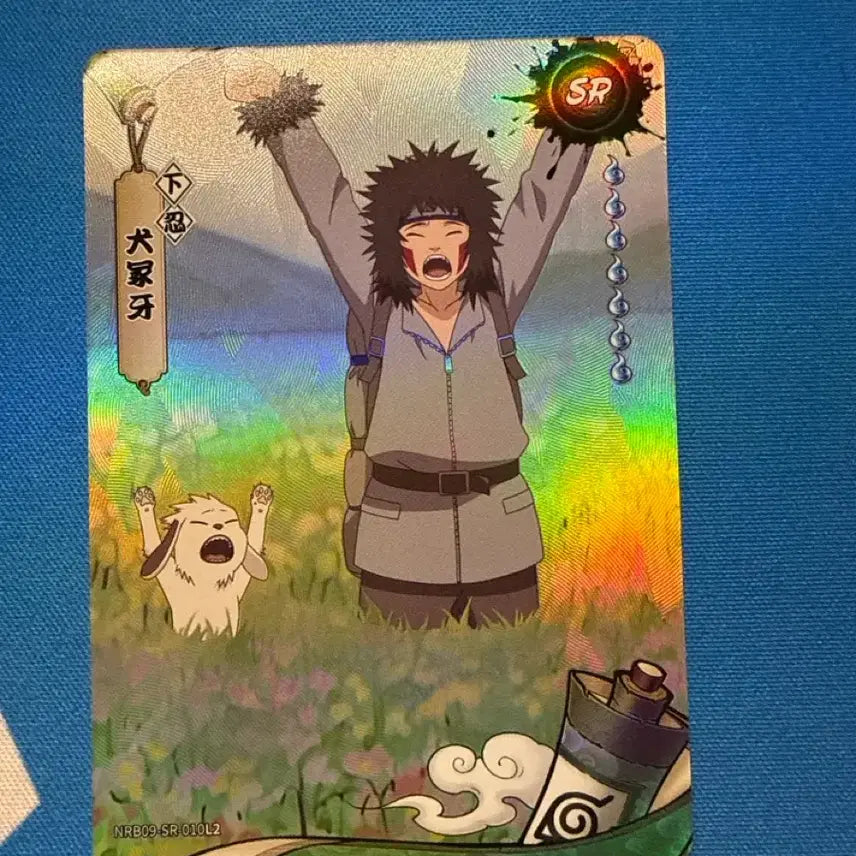 [BUNJANG] Naruto SR Grade Kiba Card / 나루토 카드 SR 등급 키바