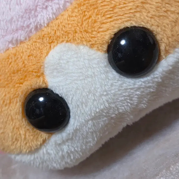 [BUNJANG] Mooruka Plush Doll / 뿌이뿌이 모루카 인형