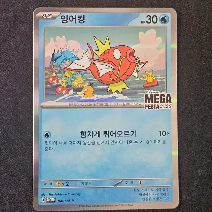 [BUNJANG] Gyarados Mega Festa Promo Pokemon Card (Unsealed) / 잉어킹 메가페스타 프로모 개봉품 포켓몬카드