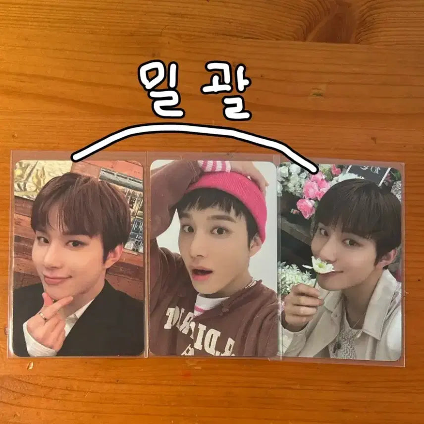 [BUNJANG] NCT 127 Jungwoo Bundle Set Photocard / 도재정&amp;nct127 정우 포카 일괄(급처)