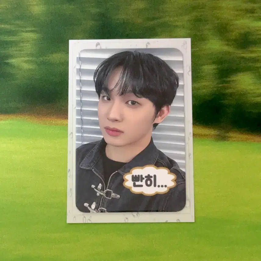 [BUNJANG] BTOB Hyunsik BTODAY Fromm Store Photocard / 비투비 임현식 BTODAY fromm store