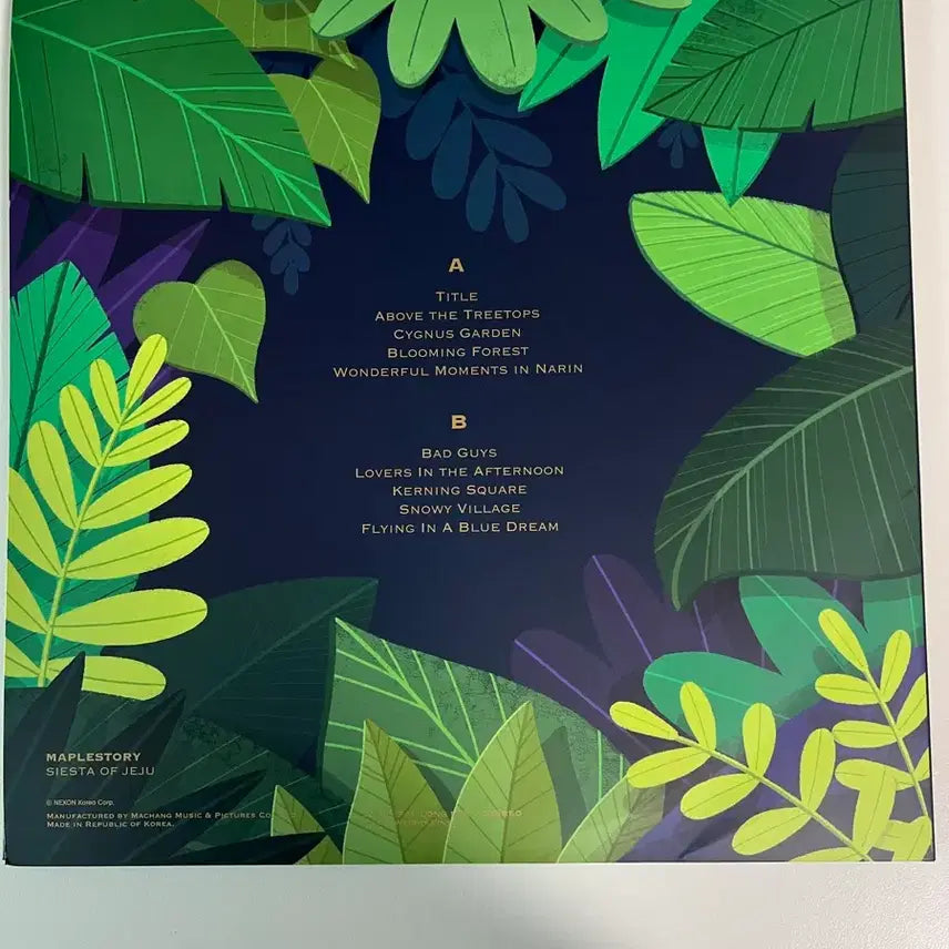 [BUNJANG] MapleStory Jeju LP Vinyl Record / 메이플스토리 제주 lp 바이닐