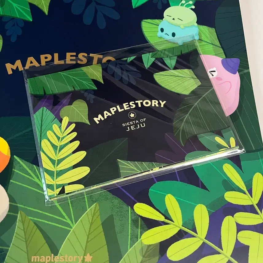 [BUNJANG] MapleStory Jeju LP Vinyl Record / 메이플스토리 제주 lp 바이닐