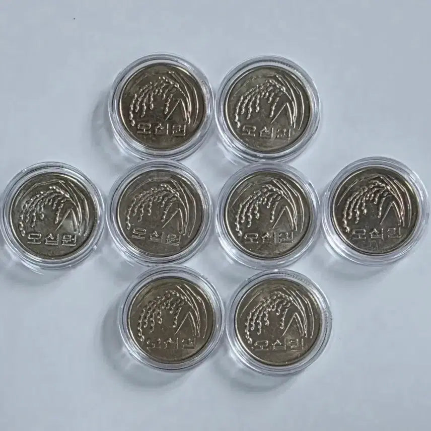 [BUNJANG] 1970 Special Edition 50 Won Coin Bundle (8 Coins) / 특년도 2014년 50원 주화 8개 일괄