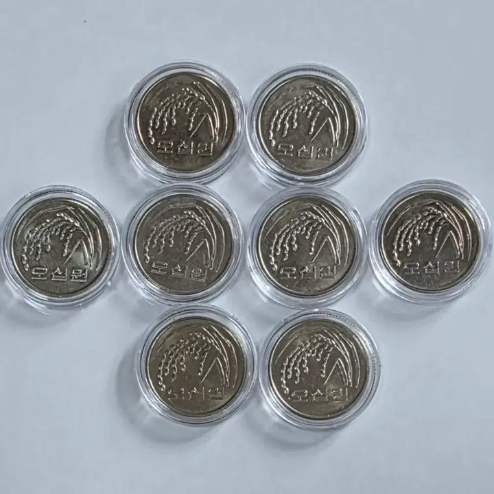 [BUNJANG] 1970 Special Edition 50 Won Coin Bundle (8 Coins) / 특년도 2014년 50원 주화 8개 일괄