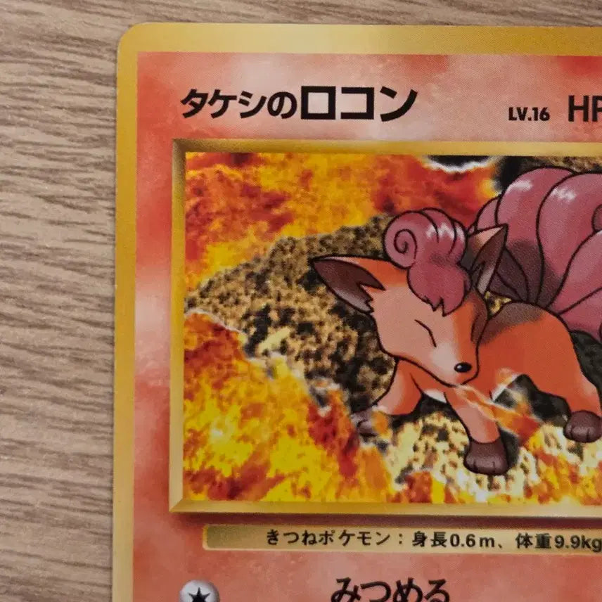 [BUNJANG] Pokemon Card Old Back Vintage Brock&