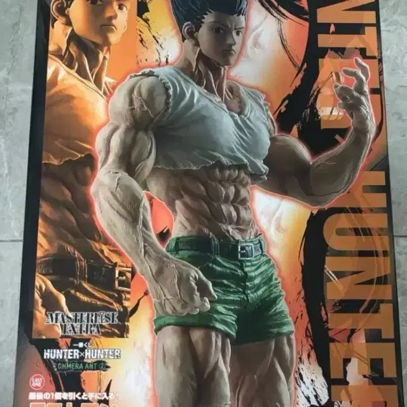 [BUNJANG] Hunter x Hunter Gon King&