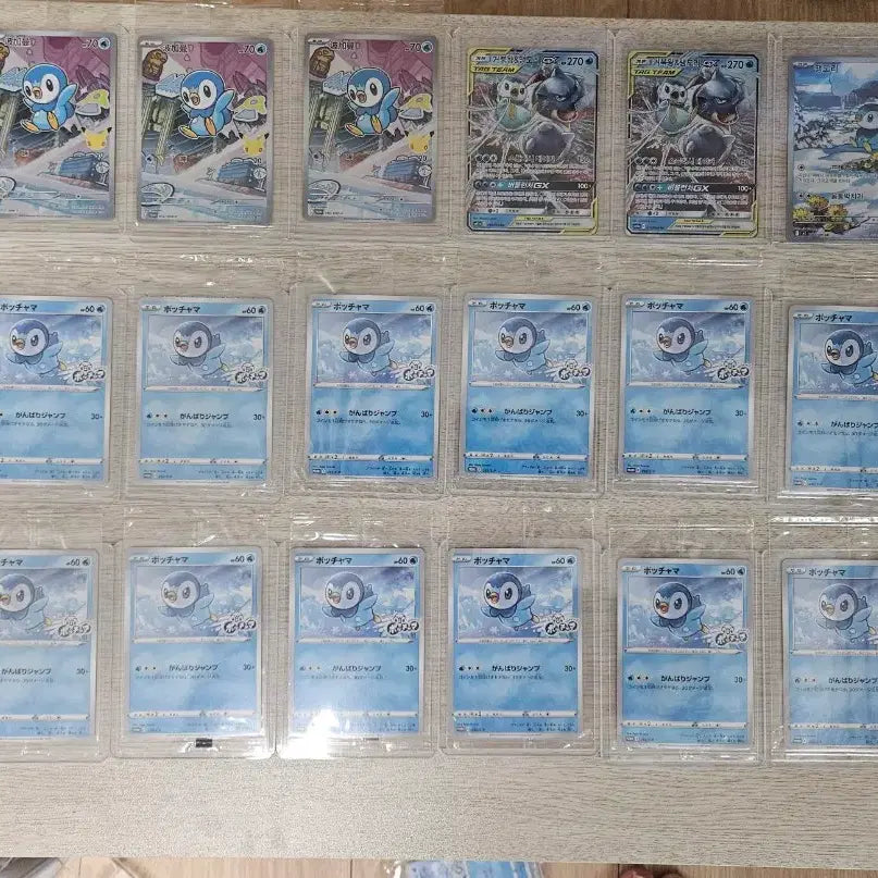 [BUNJANG] Pokemon Piplup Collection Trading Cards / 너무나 귀여운 포켓몬카드 팽도리 컬렉션