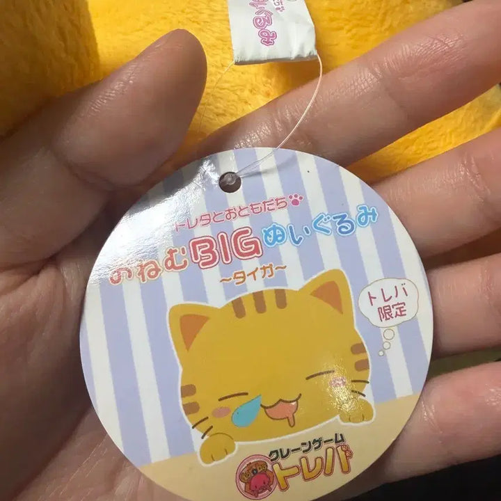 [BUNJANG] Toreba Cat Big Plush Doll / 일본 고전 토레바 고양이 대형 BIG 인형 누이 방꾸