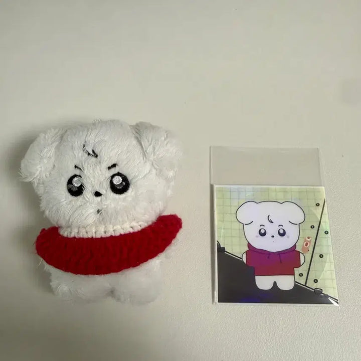[BUNJANG] BTS Jungkook Jangmoongi Plush / 방탄 정국 인형 장모 정뭉이