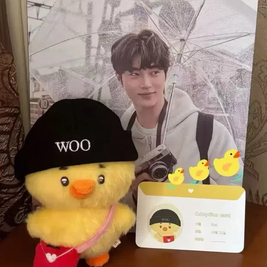 [BUNJANG] Byun Woo Seok Discontinued Yellow Chick Doll Full Set / 변우석 단종 노란병아리 인형 풀세트