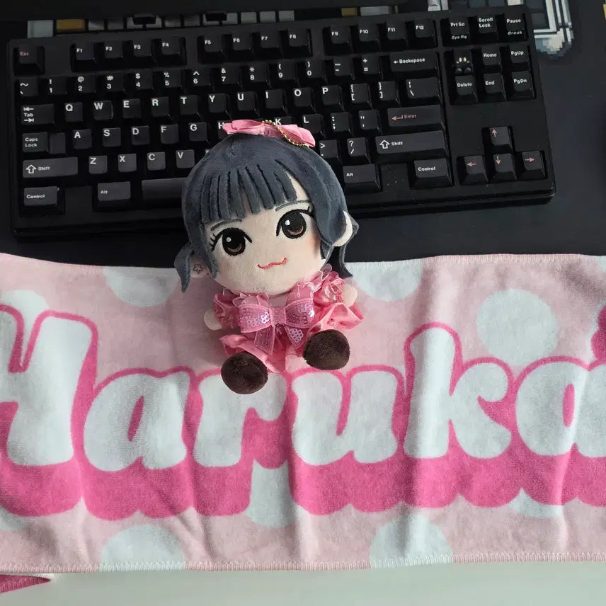 [BUNJANG] Cutestreet Haruka Plush, Oshi Towel Bundle Set / 큐티스트리트 하루카 누이 , 오시 타올 일괄