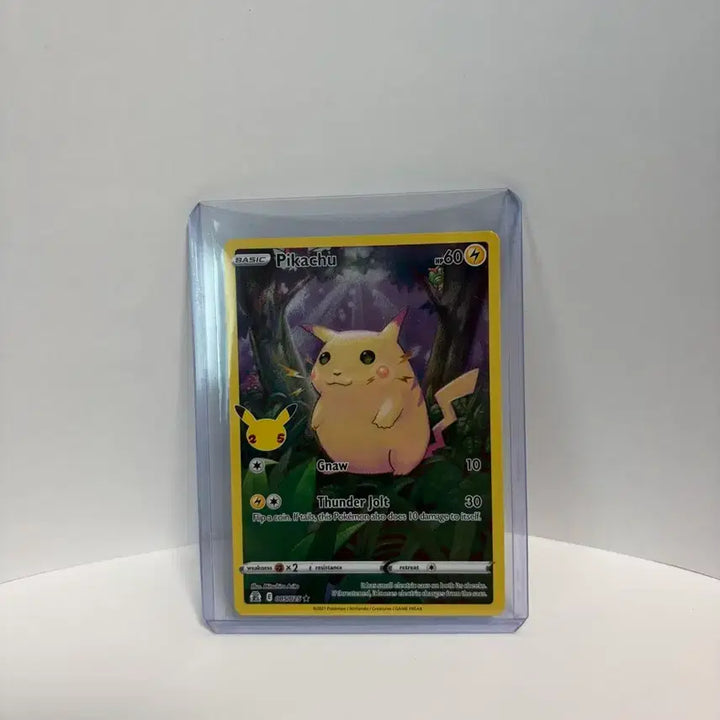 [BUNJANG] Pokemon 25th Anniversary Celebration SSS-Grade "Fat Pikachu" Card / 포켓몬카드 25주년 셀레브레이션 상태 sss급 뚱카츄 팝니다!!