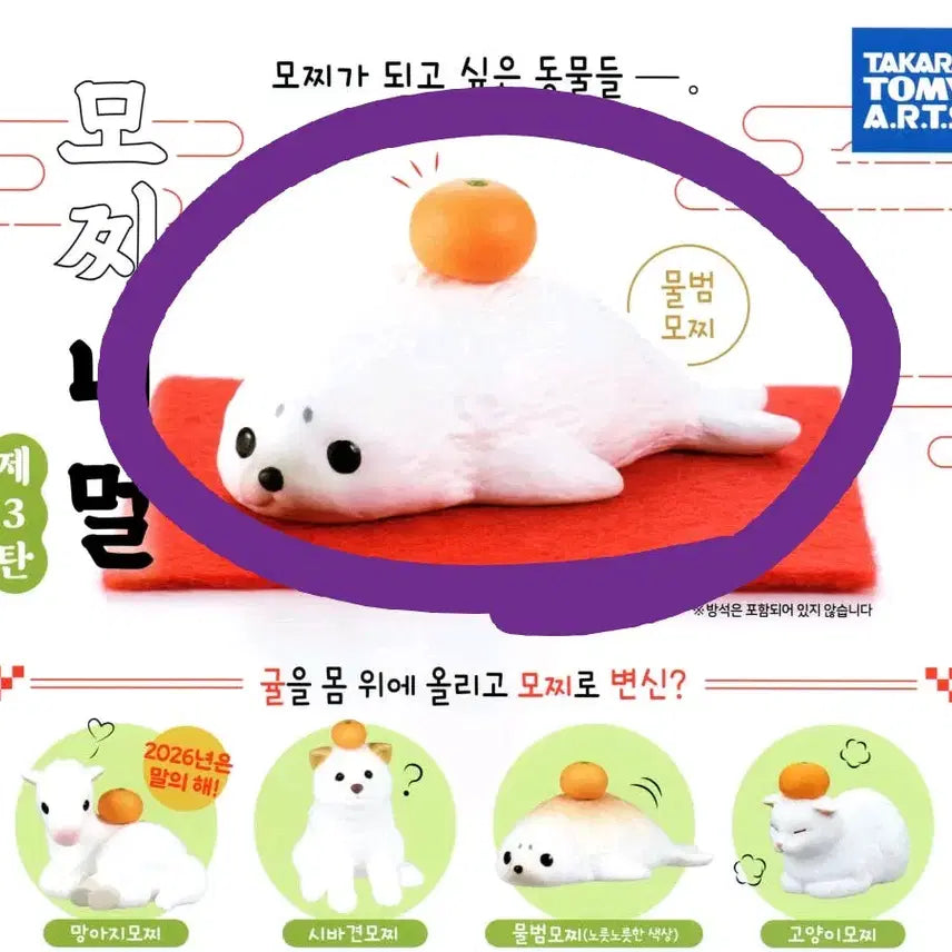 [BUNJANG] Mochinimal 3rd Edition Seal Mochi Plush / 모찌니멀 3탄 물범모찌