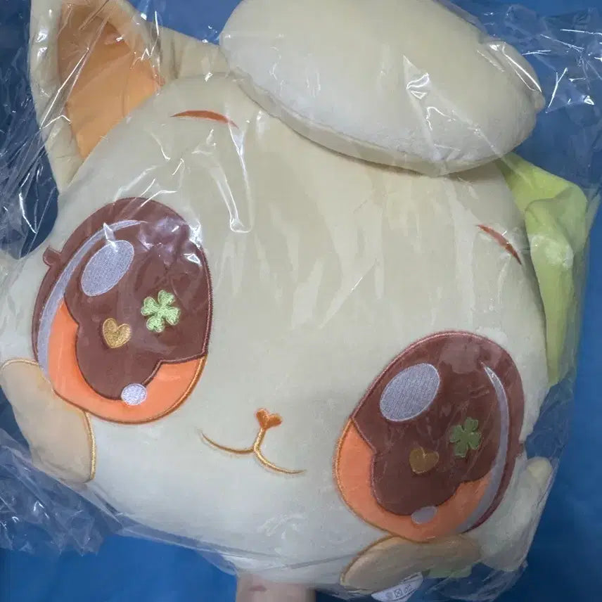 [BUNJANG] NCT WISH Wish Cat Cushion Riku Yushi Ryo Jaehee (Sealed) / (미개봉) 엔시티위시 위시캣 쿠션 리쿠 유우시 료 재희