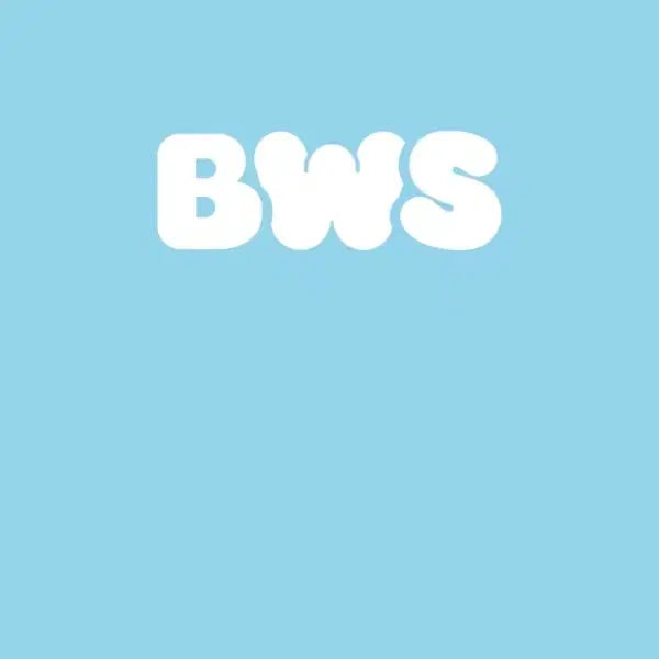 [BUNJANG] Byeon Woo Seok Official Light Stick (Sealed) / 변우석 공식 응원봉 미개봉 새상품  BYEON WOO SEOK OFFICIAL LIGHT STICK