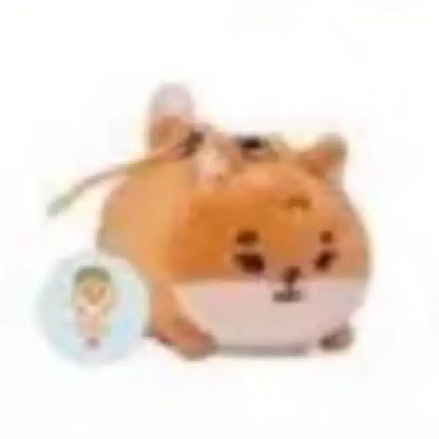 [BUNJANG] Denimals Pet Carrier Bundle Set / 데니멀즈 사족보행 쁘띠케 + 다람쥐 옷 일괄