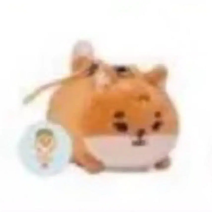 [BUNJANG] Denimals Pet Carrier Bundle Set / 데니멀즈 사족보행 쁘띠케 + 다람쥐 옷 일괄